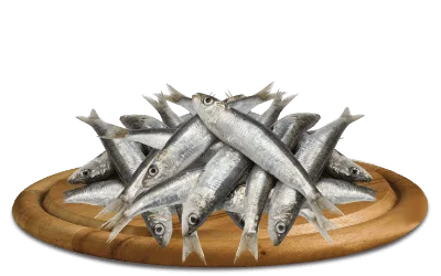 happyone sardine