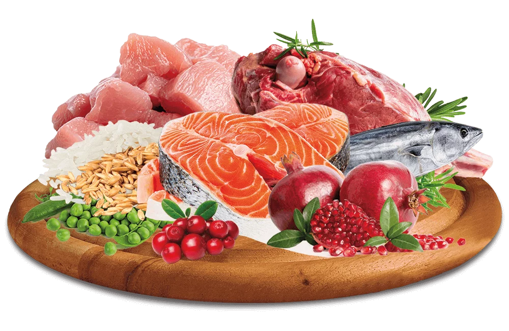 happyone-premium-plate