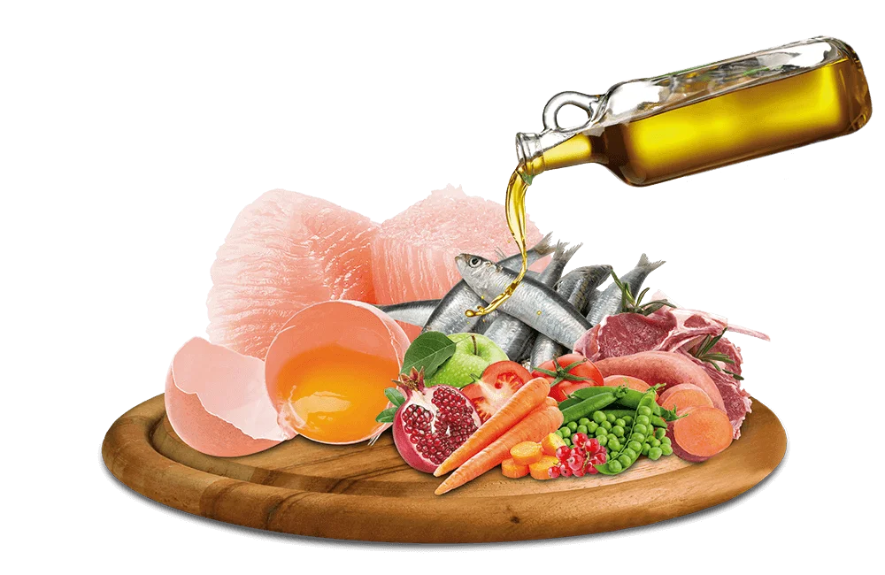 happyone_mediterraneum_plate