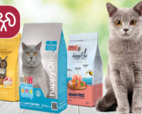 захист сечовивідної системи котів