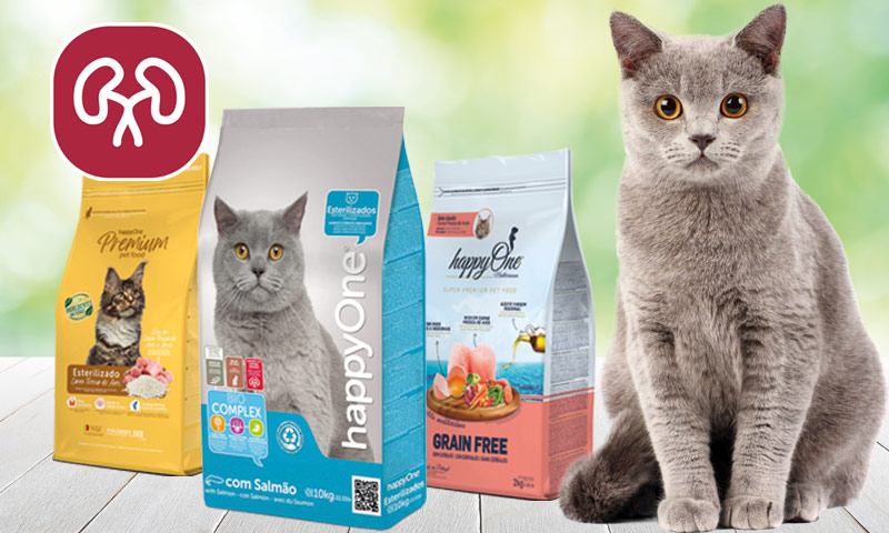 захист сечовивідної системи котів