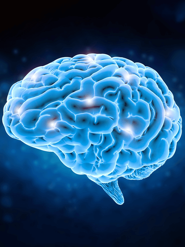 Докозагексаєнова кислота