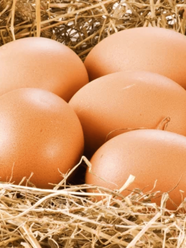 Свіжі яйця