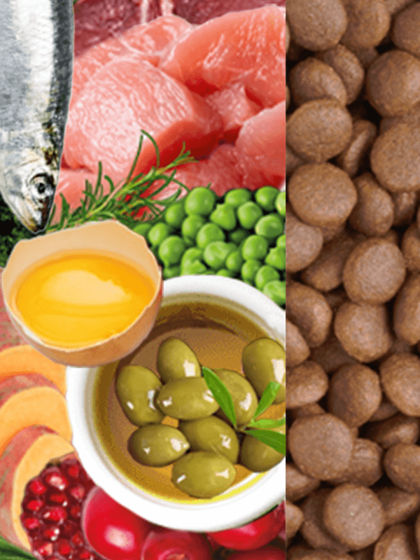 Середземноморська дієта - back