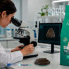 happyone insect protein